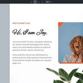 WordPress主題Bricks v1.9 破解版